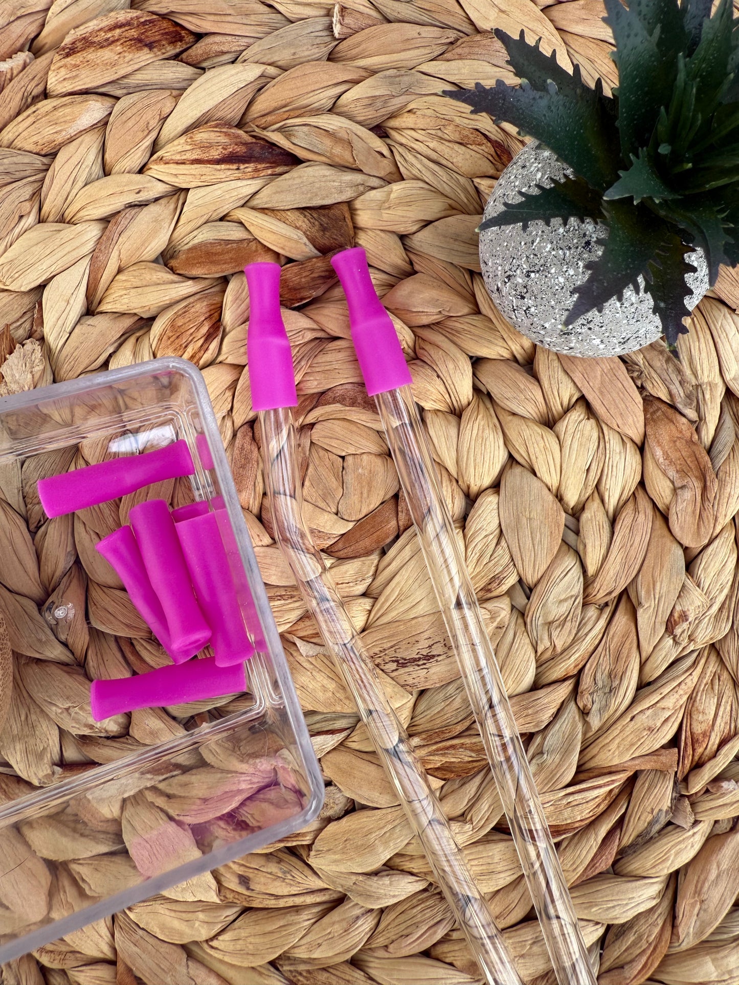 Silicone Straw Toppers (Purple)