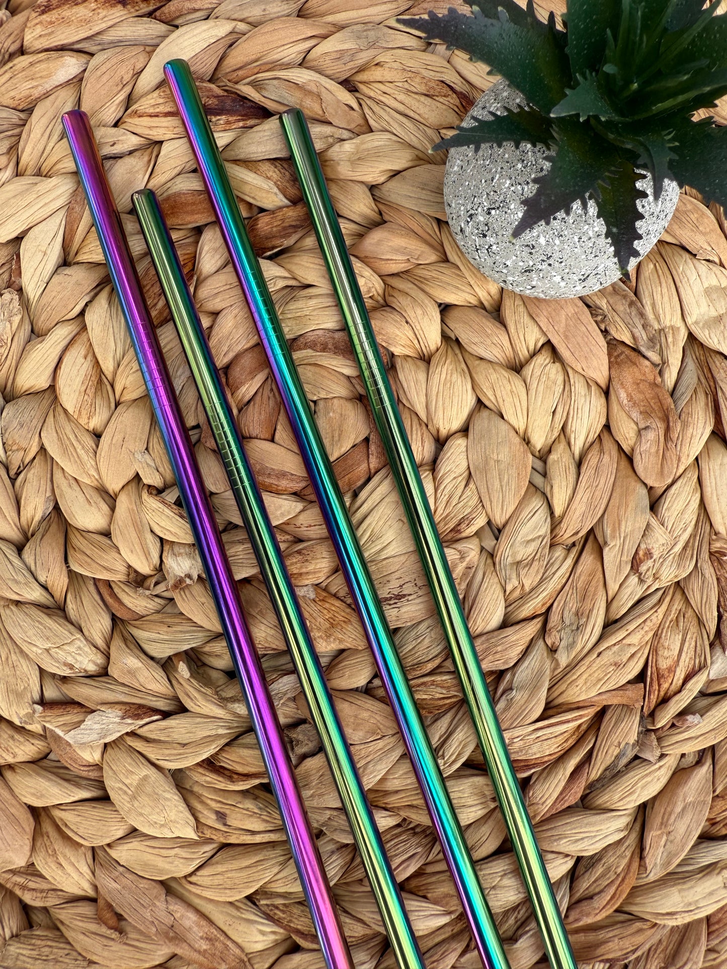 Rainbow Stainless Steel Straws