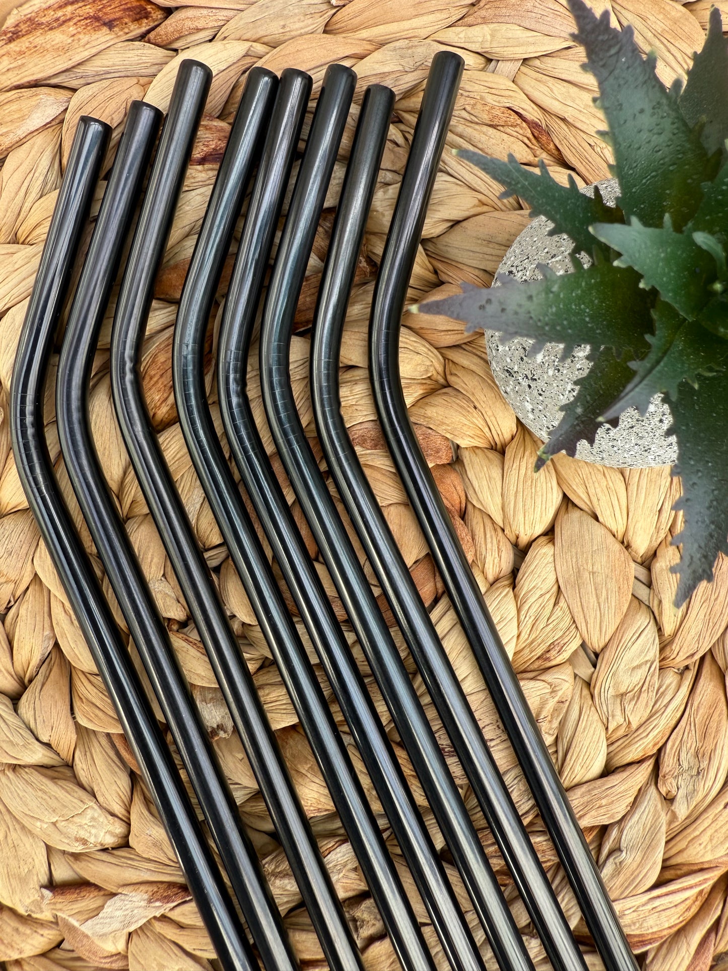 Black Stainless Steel Reusable Straws